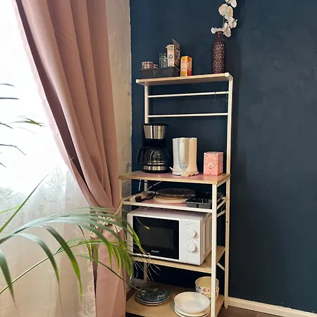 Apartment Amelie - Zimmer Mit Tv, W-Lan, Mikrowelle Und Kuehlschrank, Bad Mit Dusche Malterdingen Exterior photo